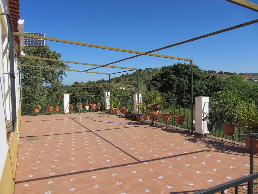 Precioso campo con casa y luz por energía solar