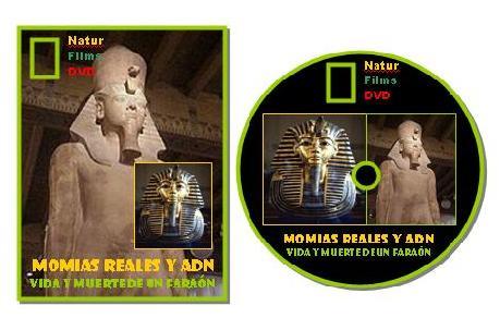 Momias reales y ADN: Vida y muerte de un faraón