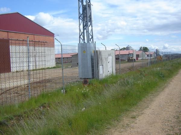 VENTA GRANJA DE PORCINO EN ACTIVO