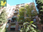 grupassa - alegre de dalt - camèlies - mejor precio | unprecio.es