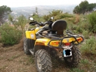 Bombardier Can-Am outlander max 800 xt - mejor precio | unprecio.es