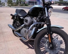 Harley Davidson XL 1200N Nightster - mejor precio | unprecio.es