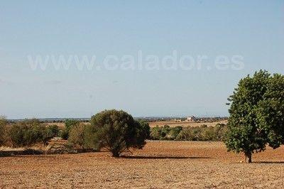 Terreno/Finca Rstica en venta en Santanyí, Mallorca (Balearic Islands)