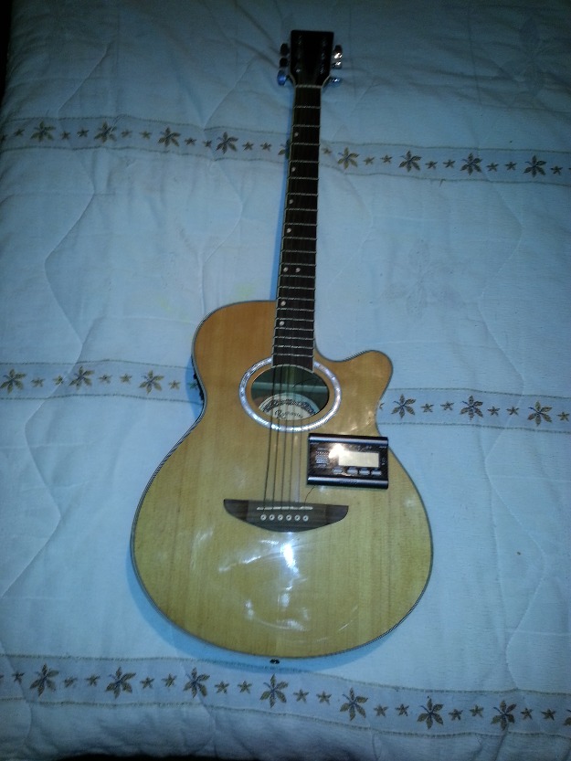 Guitarra rochester + afinador seiko