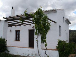 Finca/Casa Rural en alquiler en Frigiliana, Málaga (Costa del Sol)