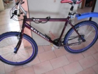 Bicicleta Raleigh M-50 Cromoly Talla M (17) - mejor precio | unprecio.es
