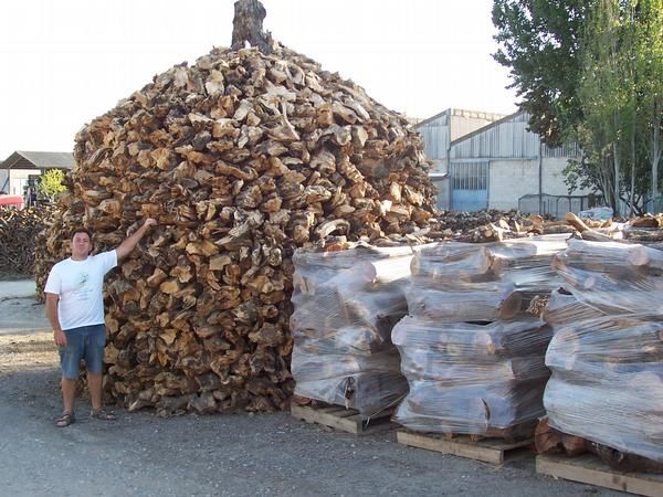 venta de leña de encina