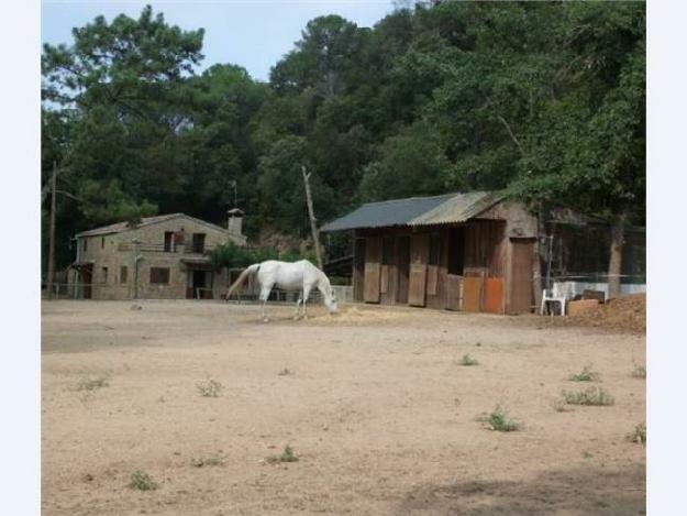 Finca rústica en Fogars de Tordera