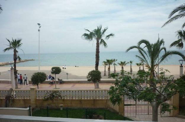 Apartamento en Campello (el)