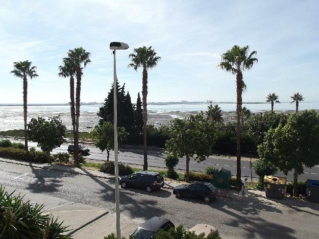 Piso en Puerto Real