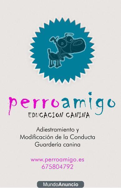 Perro Amigo Educación Canina