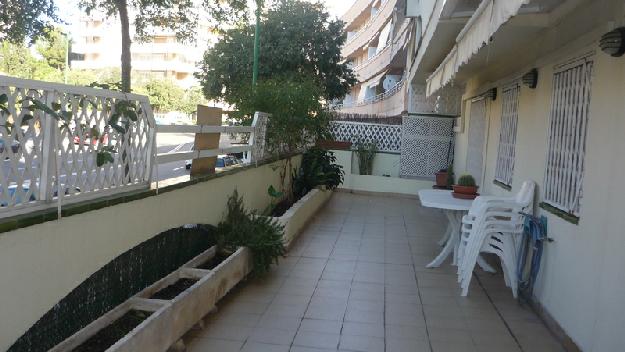 Bajo en Palma de Mallorca