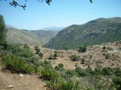 Terreno se vende en Cortes de la Frontera, Serrania de Ronda