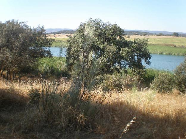 Finca rústica en Navalmoral de la Mata