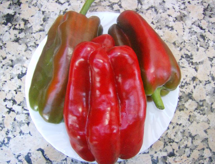 Pimiento Rojo de Asar (50 semillas)