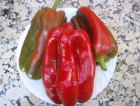 Pimiento Rojo de Asar (50 semillas) - mejor precio | unprecio.es