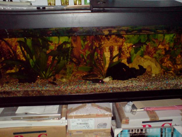 Vendo Acuario 300 litros