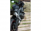 2009 Honda CBR 600 RR - mejor precio | unprecio.es