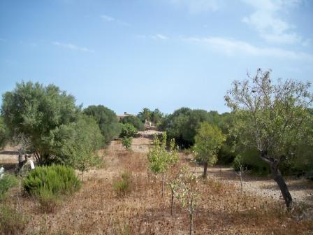 Finca rústica en Ariany