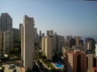 Estudio en Benidorm - mejor precio | unprecio.es