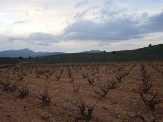 Terreno/Finca Rstica en venta en Pinoso, Alicante (Costa Blanca)