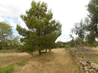 Terreno/Finca Rstica en venta en Cretas, Teruel