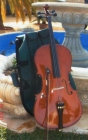 Violoncello 3/4 Palatino. Hecho a mano. 40C12 - mejor precio | unprecio.es