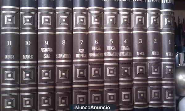 Se vende biblioteca particular