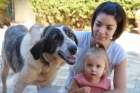 YOLISA, MASTINA ABANDONADA Y RECIÉN PARIDA PERFECTA PARA NIÑOS - mejor precio | unprecio.es