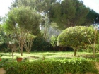 Estudio : 2/4 personas - junto al mar - bormes les mimosas var provenza-alpes-costa azul francia - mejor precio | unprecio.es