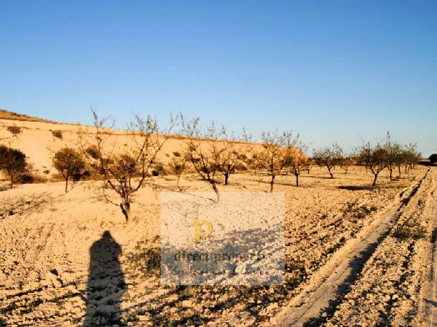 Finca rústica en Torrellano