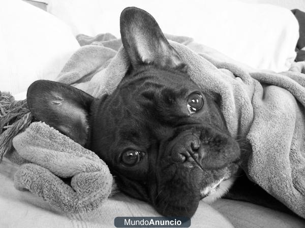 Busco novia