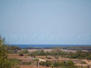 Terreno/Finca Rstica en venta en Campos, Mallorca (Balearic Islands)