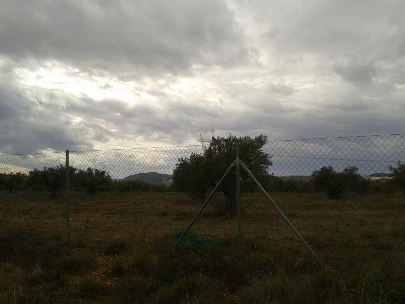 Estupenda Parcela de Campo en Biar, Alicante.