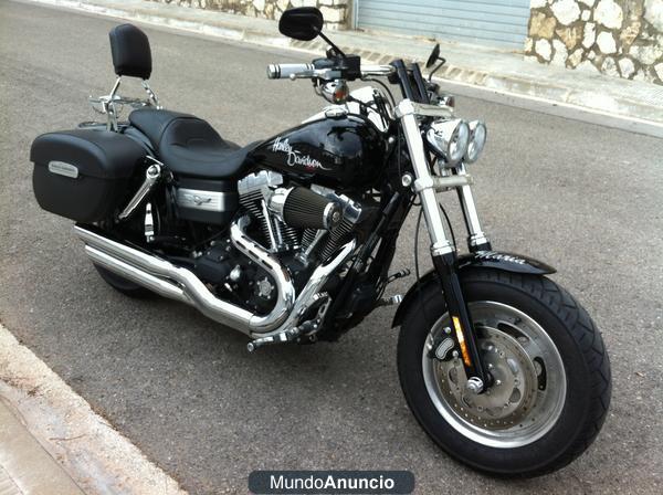 Harley Davidson Dyna Fat Bob