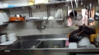 Restaurante en Barcelona - mejor precio | unprecio.es