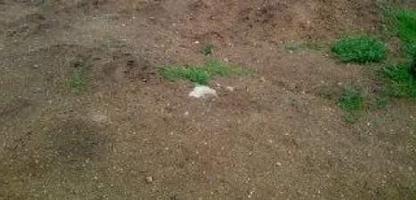 Regalo tierra rústica para relleno