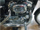 HARLEY DAVIDSON Sportster 1200 Custom - mejor precio | unprecio.es