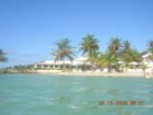 Apartamento en residencia : 2/5 personas - piscina - junto al mar - saint francois grande terre guadalupe - mejor precio | unprecio.es