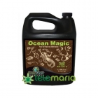 Ocean Magic - mejor precio | unprecio.es