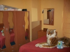 Piso en Ponferrada - mejor precio | unprecio.es