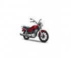 YAMAHA YBR 125 - mejor precio | unprecio.es