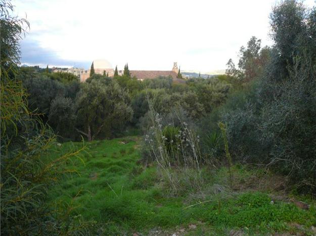 Parcela edificable en Sotogrande, cerca de campos de golf y mar