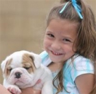 Cachorros bulldog inglés para regalo - mejor precio | unprecio.es