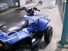 QUAD POLARIS 330 TRAIL BOSS - mejor precio | unprecio.es