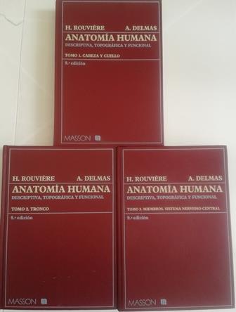 Anatomía humana. H. Rouviere – A. Delmas