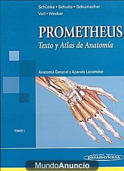 PROMETHEUS texto y atlas de anatomía