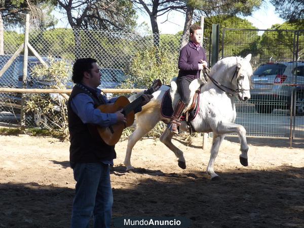 Allquiler de Caballos para el Rocio