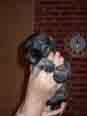 Schnauzer Miniatura Sal y Pimienta de 2 meses