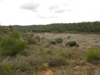 Finca/Casa Rural en venta en Vilalba dels Arcs, Tarragona (Costa Dorada)